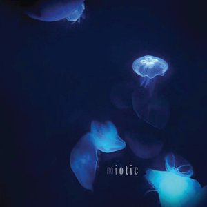 “Miotic”的封面