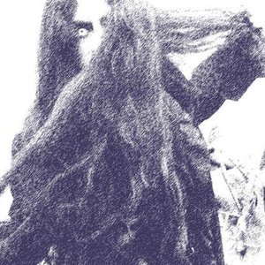moon-danus 的头像