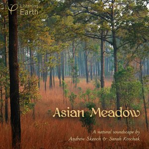Asian Meadow