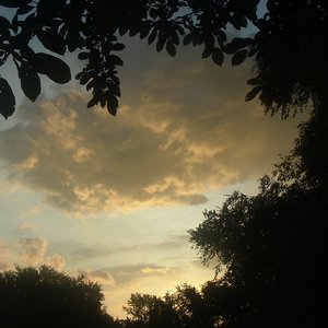 Love On The Horizon