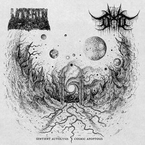 Sentient Autolysis / Cosmic Apoptosis