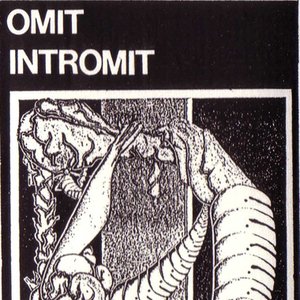 Intromit