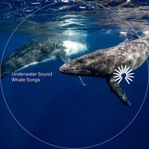 Whale Songs - Single