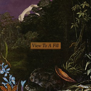 View to a Fill - Single