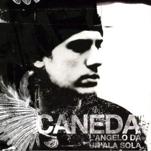 L'angelo da un'ala sola