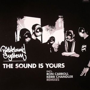 Avatar de risksoundsystem