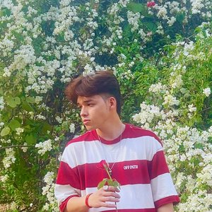 Avatar di giesel