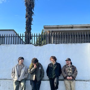 Panorama Local 的头像