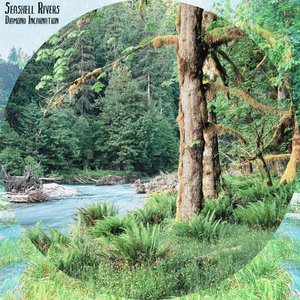 Seashell Rivers