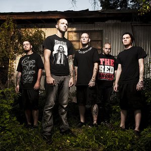 Avatar for King Conquer