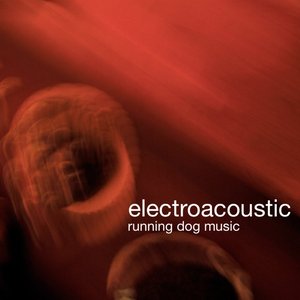 ElectroAcoustic