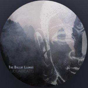 The Dallay Llamas 的头像