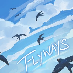 Flyways