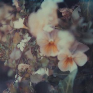 Аватар для Every Hidden Color