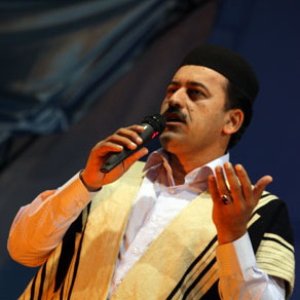 Didar Mahmoudi 的头像