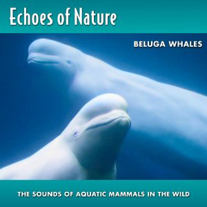 Echoes Of Nature - Beluga Whales - Zortam Music