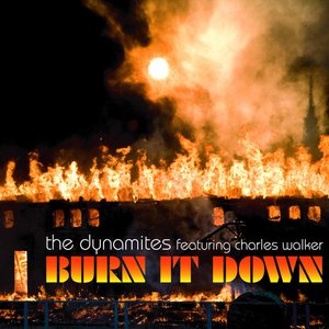 Burn It Down (feat. Charles Walker)