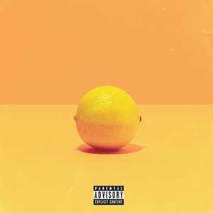WHEN LIFE GIVES YOU LEMONS