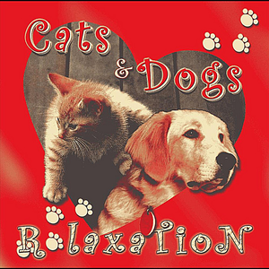 I Fiamminghi - Classical Relaxation For Cats & Dogs - Zortam Music