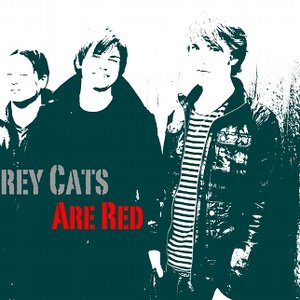 Avatar for Grey Cats Are Red