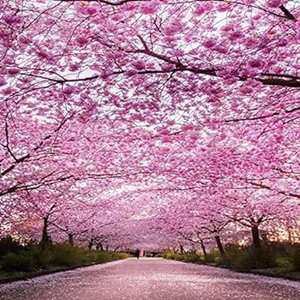 Around The World