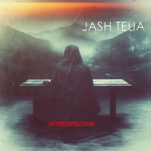 Introspection