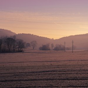 Apart / Under the same sky