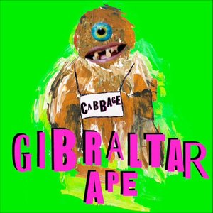 Gibraltar Ape
