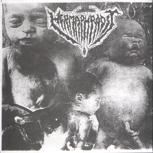 Chirurgický řez zhnisaným lůnem rodidla