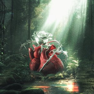 TRAI TIM CUNG BIET DAU