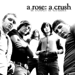 Avatar for A Rose, a Crush
