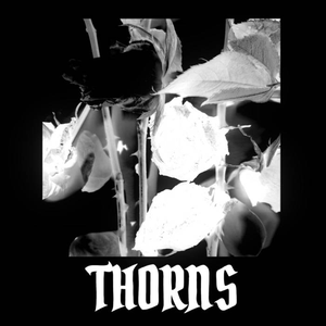 Artwork for Thorns