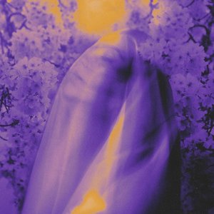 Paradise In Ruin - Single