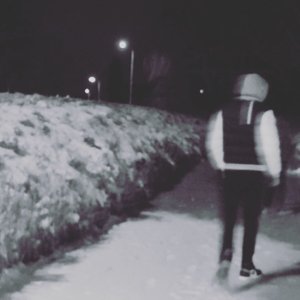 Sem Venderbos 的头像