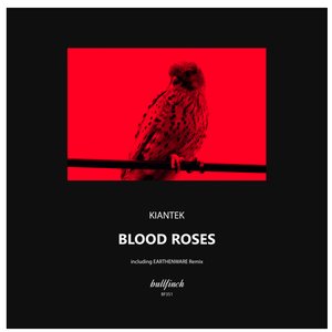 Blood Roses