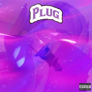 Plug
