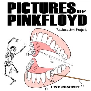 Pictures of Pink Floyd