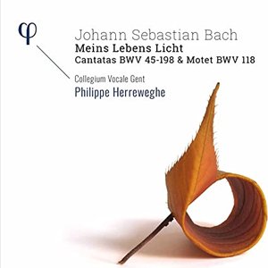 Collegium Vocale Gent, Philippe Herreweghe & Thomas Hobbs 的头像