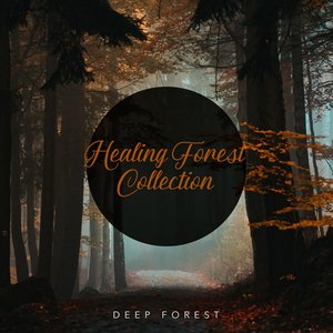 Healing Forest Collection