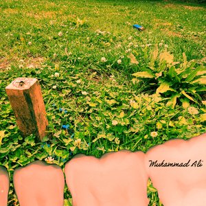 Muhammad Ali