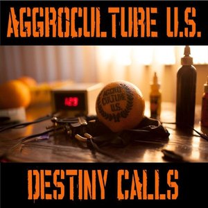 Destiny Calls