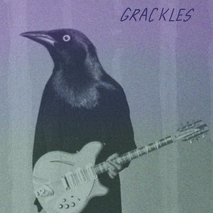 Grackles