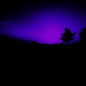 midnight王朝 的头像