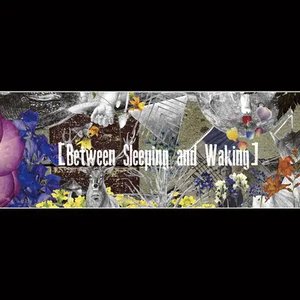 Between Sleeping and Waking
