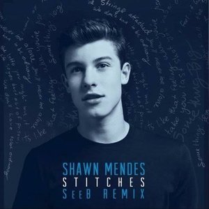 Stitches (SeeB Remix)