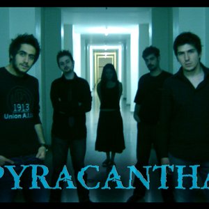 Avatar für Pyracantha