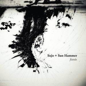 Sujo + Sun Hammer 的头像