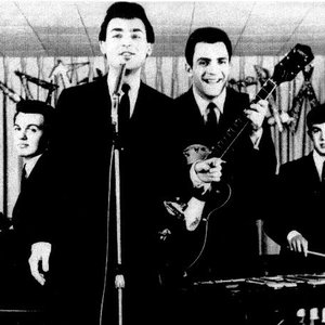 Ronnie And The Delinquents 的头像