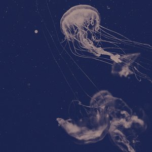 Pelagia
