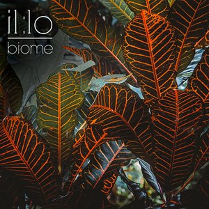 Biome - Single